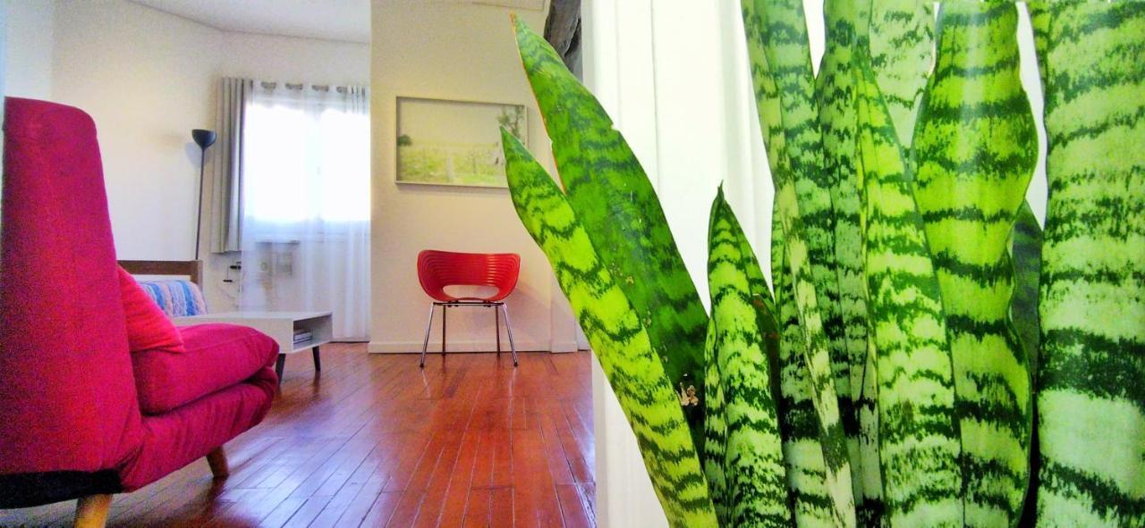 Villa House With Large Terrace, Jacuzzi And Gated Parking For One Car Montevideo Esterno foto